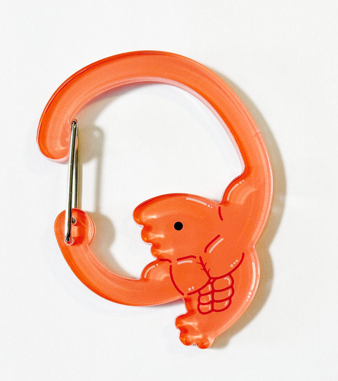 Acrylic Carabiner / Muscular Shrimp
