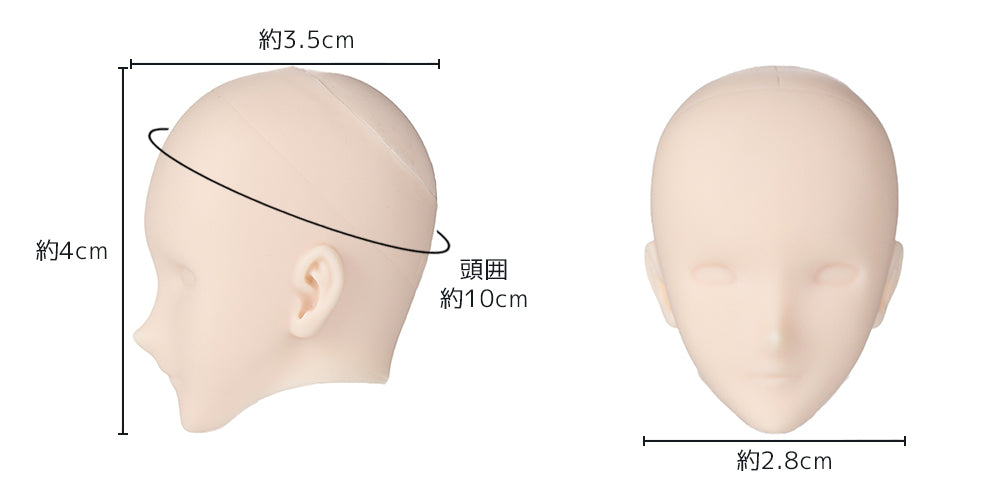 OBT30-02 head ivory