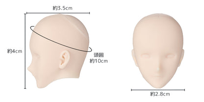 OBT30-02 head ivory